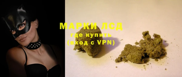 PSILOCYBIN Волосово