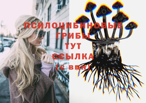гашик Вязники